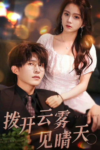 拨开云雾见晴天 poster