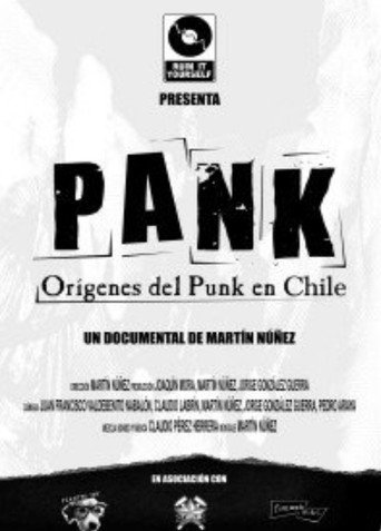 Movie poster for Pank : Origins of Punk Music in Chile (2010)