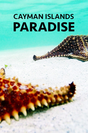 Movie poster for Cayman Islands: Paradise (2021)
