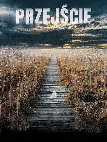 Movie poster for The Passage (2021)