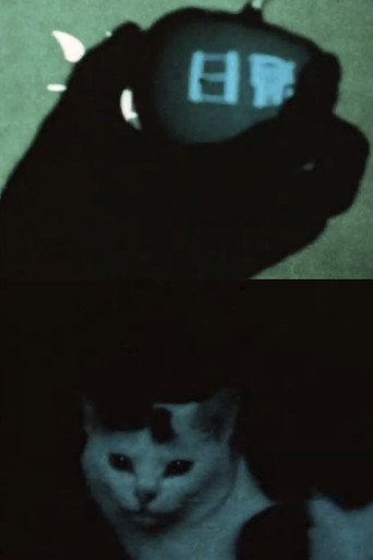 Movie poster for some days ago (2009)