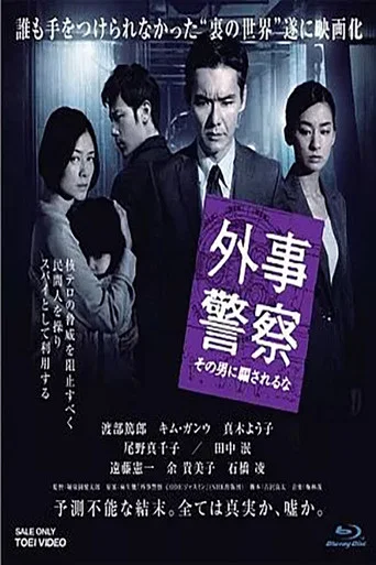 Series poster for 外事警察 (2009)