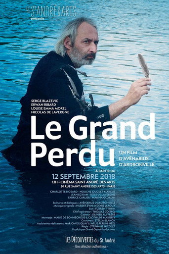 Movie poster for Le Grand Perdu (2018)