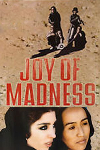 Movie poster for Joy of Madness (2004)
