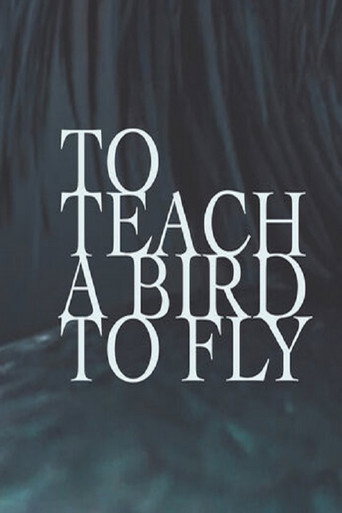 To Teach a Bird to Fly poster