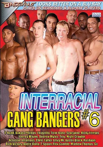 Movie poster for Interracial Gang Bangers 6 (2008)