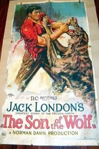 Movie poster for The Son of the Wolf (1922)