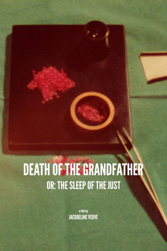 Movie poster for Death of the Grandfather or: The Sleep of the Just (1978)