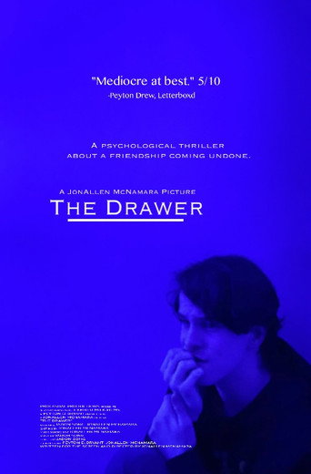 Movie poster for The Drawer (2020)