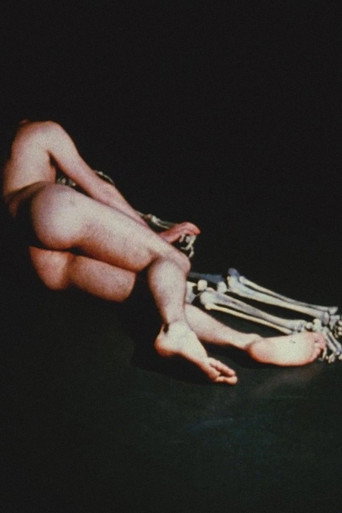Movie poster for The Mysteries (1968)