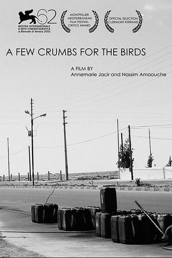 A Few Crumbs For Birds poster