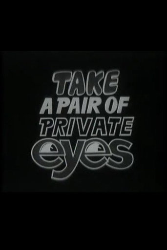 Series poster for Take a Pair of Private Eyes (1966)