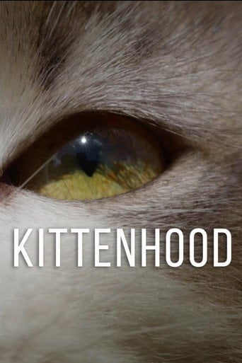 Movie poster for Kittenhood (2015)
