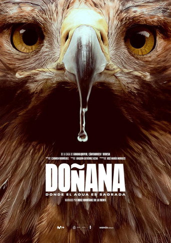 Movie poster for Doñana (2025)
