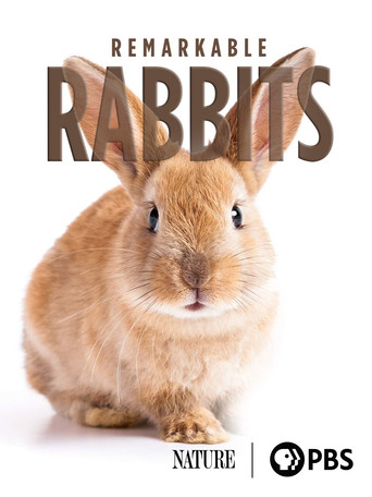 Movie poster for Remarkable Rabbits (2020)