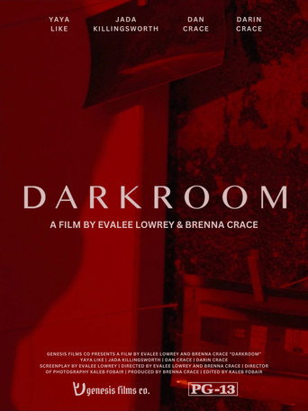 Movie poster for Darkroom (2024)
