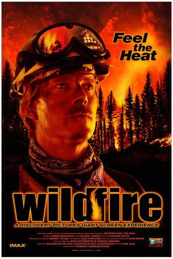 Wildfire: Feel the Heat poster