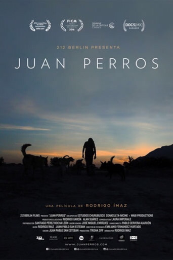 Movie poster for Juan Perros