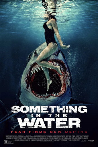 Movie poster for Something (2024)