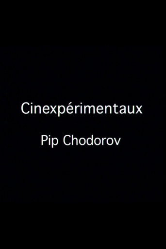 Movie poster for Cinexpérimentaux #4: Pip Chodorov (2001)