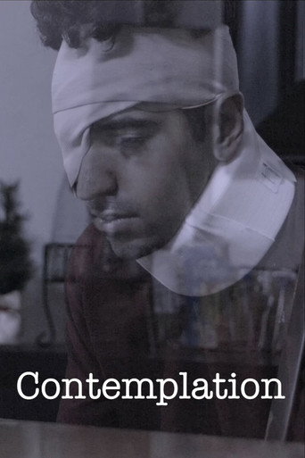 Movie poster for Contemplation (2025)