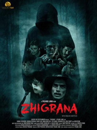 Movie poster for Zhigrana (2016)