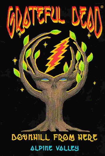 Movie poster for Grateful Dead: Downhill from Here (1989)