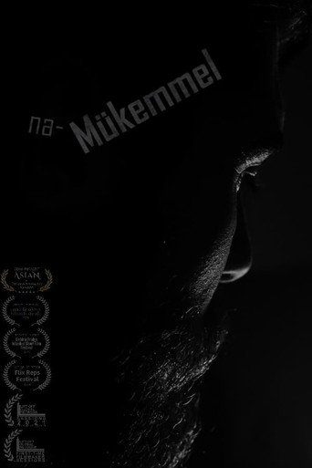 Movie poster for Imperfect (2020)