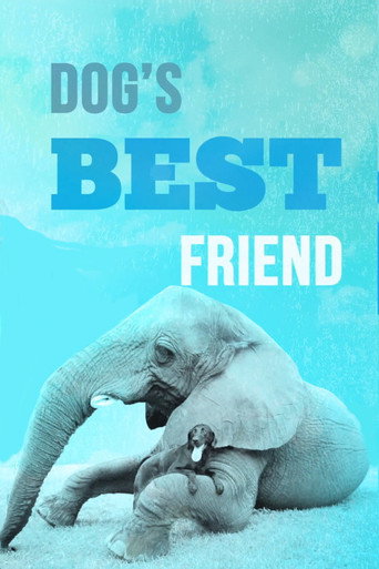 Series poster for Dog's Best Friend (2014)