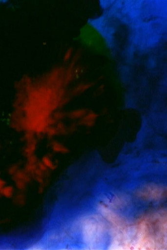 Movie poster for Black flag (2002)