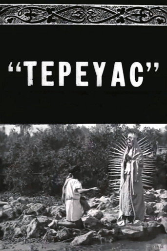 Movie poster for Tepeyac (1917)