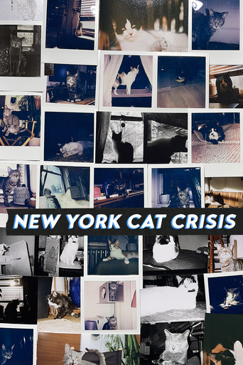 Movie poster for New York Cat Crisis