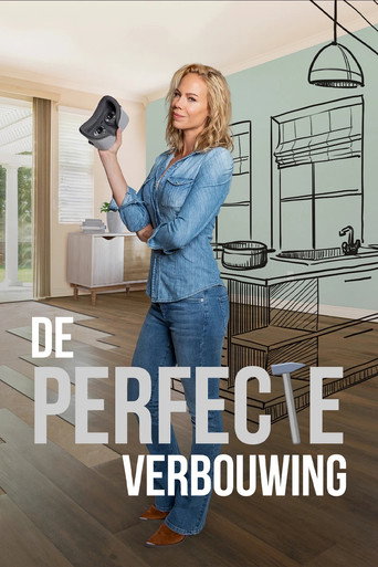 Series poster for De Perfecte Verbouwing (2021)