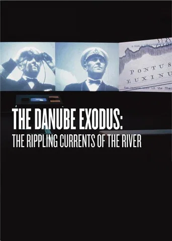Movie poster for The Danube Exodus (1998)