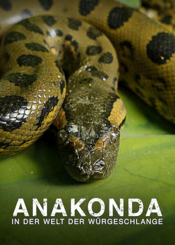 Movie poster for Anaconda: Silent Killer (2014)