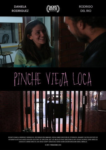 Movie poster for Pinche Vieja Loca (2014)