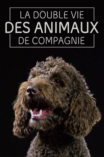 The Secret Life of Pets poster