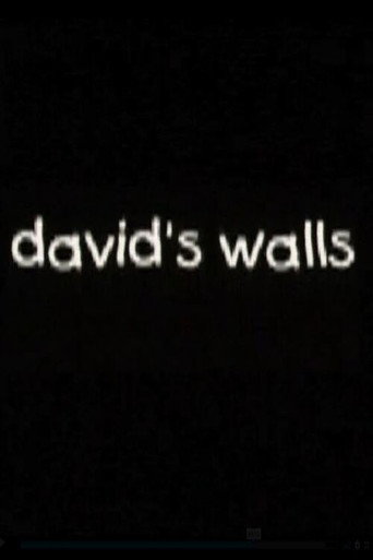 Movie poster for David's Walls (2001)