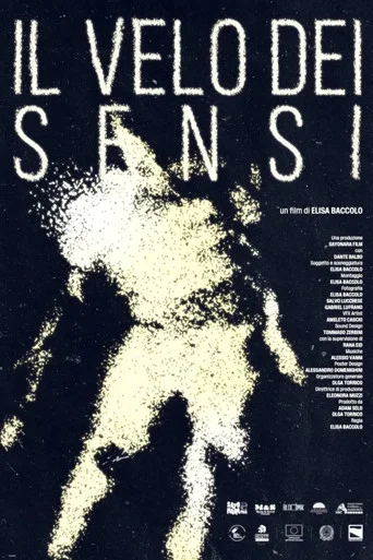 Movie poster for The Veil of Senses (2026)