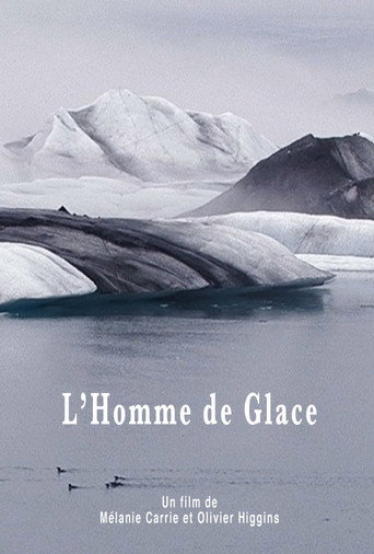 Movie poster for L'Homme de glace (2011)