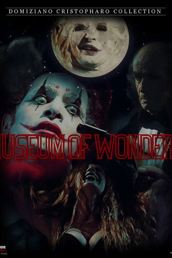 The Museum Of Wonders poster