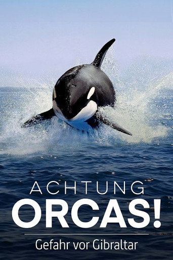 Movie poster for Watch Out for Orcas! Danger Off Gibraltar? (2024)