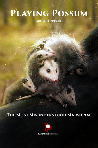 Movie poster for Playing Possum