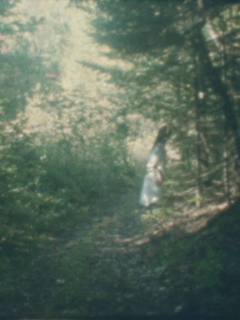 Movie poster for To the Forest (2026)