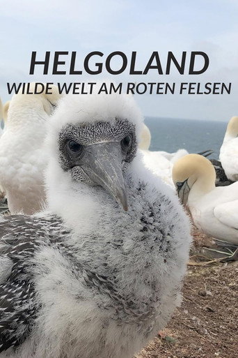 Movie poster for Helgoland - Wilde Welt am roten Felsen (2022)