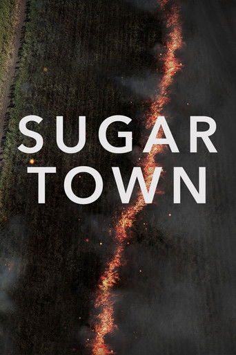 Sugar Town poster
