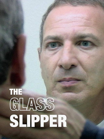 Movie poster for The Glass Slipper (2011)