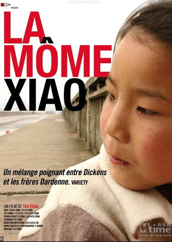 Movie poster for Little Moth (2008)