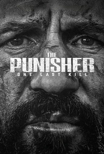 The Punisher: One Last Kill poster