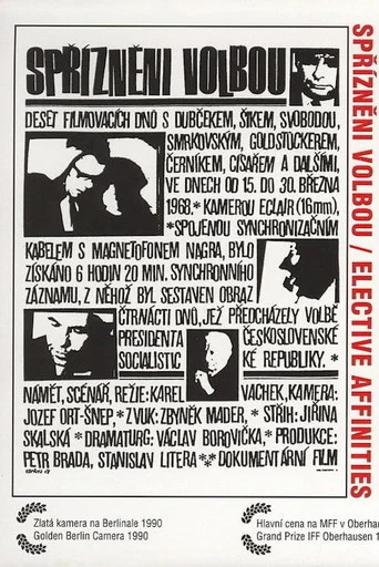 Movie poster for Elective Affinities (1968)